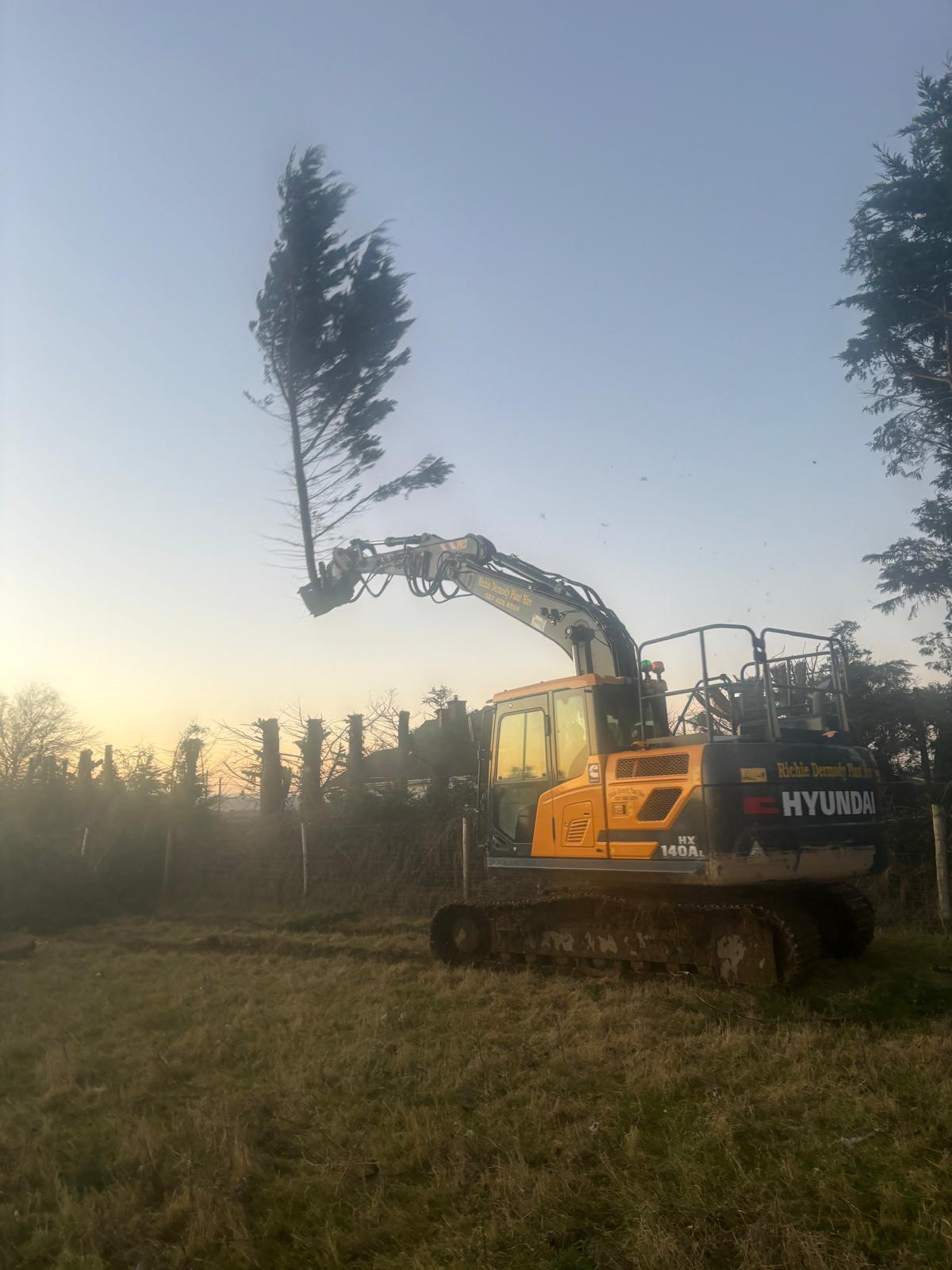Tree Info